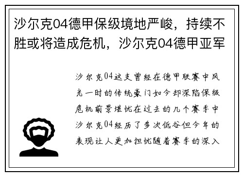 沙尔克04德甲保级境地严峻，持续不胜或将造成危机，沙尔克04德甲亚军